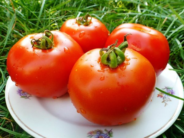 пресни домати през зимата