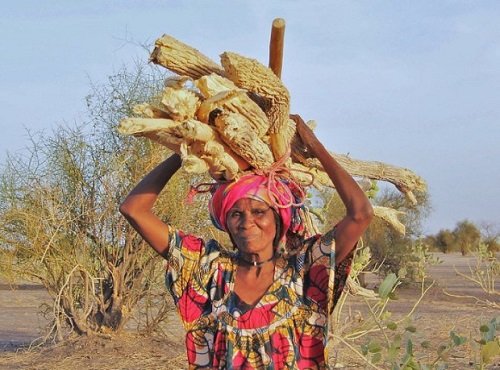 женщины из чада