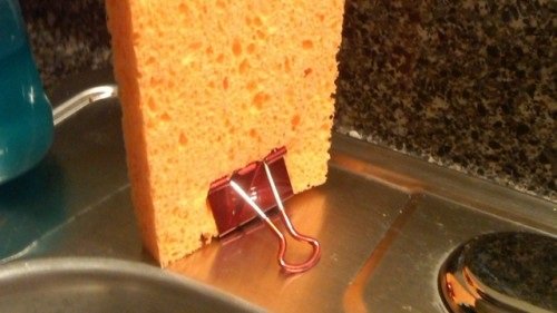 сушилка для губок