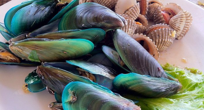 ракообразные