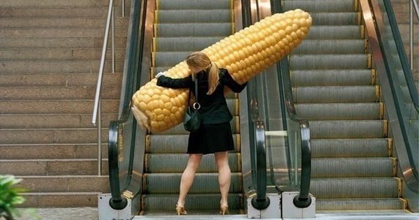 Чем нужно питаться, чтобы быть здоровым? 15 самых полезных продуктов питания на планете.