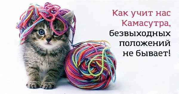 16 веселых открыток, которые помогут с юмором взглянуть на обыденные вещи. Зарядись позитивом!