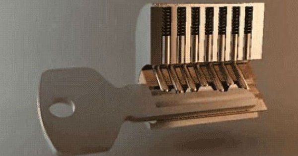 20 интересных фактов, о которых тебе не рассказали в школе! А стоило бы…