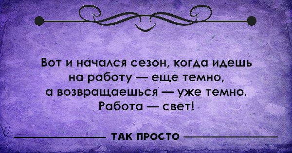 смешные цитаты