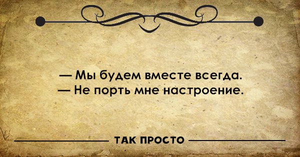 смешные цитаты