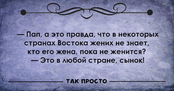 смешные цитаты