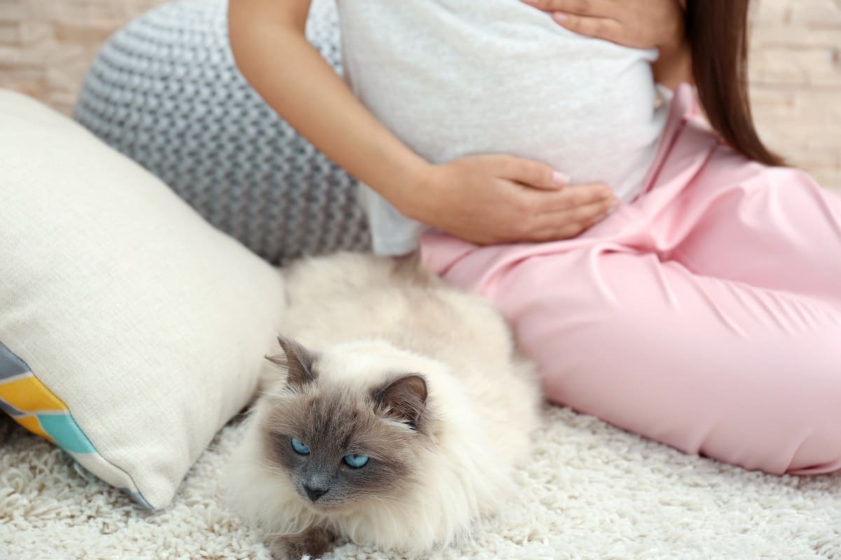 что нельзя делать в високосный год