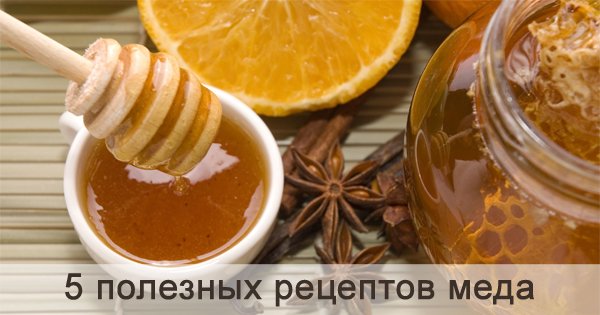 5 целебных рецептов мёда для здорового образа жизни. Чудо в банке!