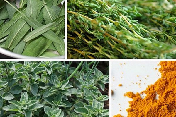 5 специй, которые уничтожают бактерии и укрепляют иммунитет.