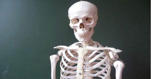 Раскрыты 7 лучших продуктов для крепких костей. Забудь про травмы и переломы!