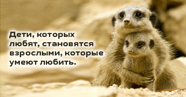 7 ободряющих фраз, которые вызовут улыбку и поднимут настроение в трудную минуту!