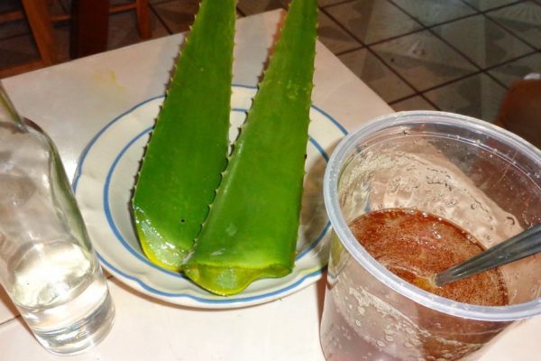 Перепробовал все возможные лекарства, помог только алоэ с мёдом! Теперь не спешу в аптеку…