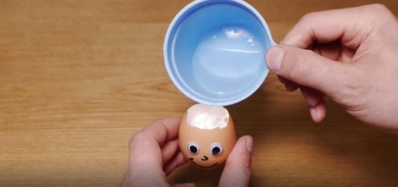 мини-сад в яичной скорлупе