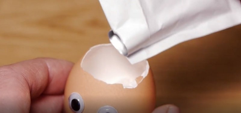 мини-сад в яичной скорлупе