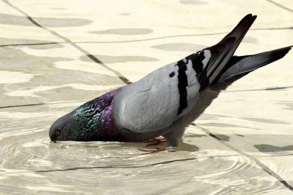 Синоптики огорчили украинцев прогнозом на ближайшие дни, жара никуда не уйдет