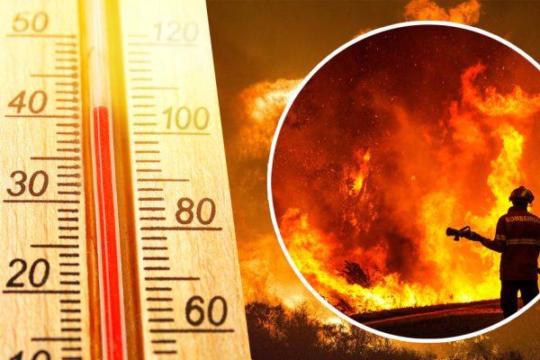 Жалко европейцев, что из-за жары проходят страшные испытания, какая ситуация сейчас в разных странах