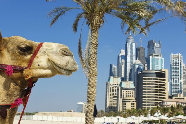 Прилетели в Дубай, сразу столкнулись с такими странностями, что мама не горюй