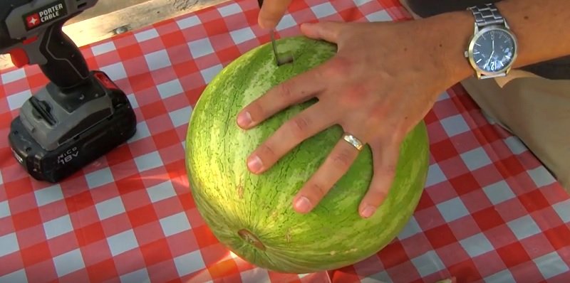 Watermelon Fuck