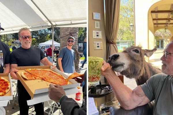 Обладая состоянием в 400 млн, Арнольд Шварценеггер шуршит по хозяйству