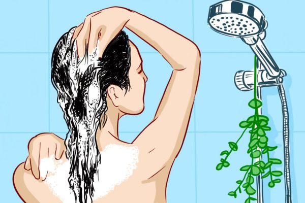 Держу веточку этого растения в ванной, и вот почему… Кожа здоровая, иммунитет крепкий, а волосы сияют как никогда!