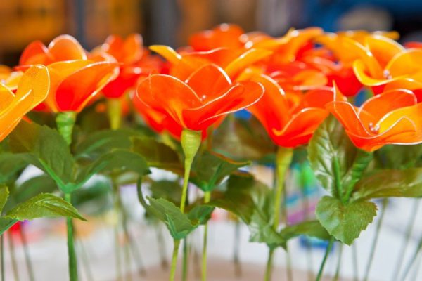 Зачем окунать цветы в гипсовый раствор