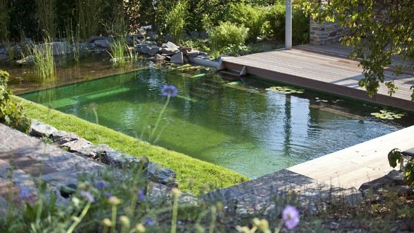 бассейн на открытом воздухе