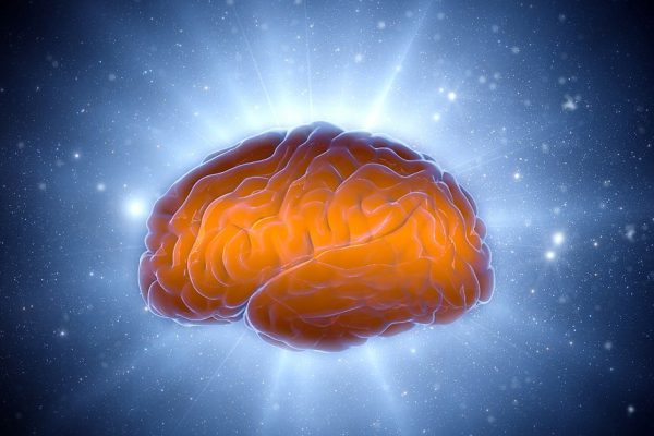 Brain impulses. Neuron system. Human anatomy. transferring pulses and generating information.