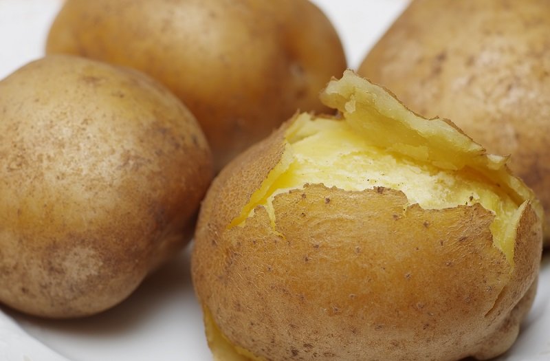 белковая диета