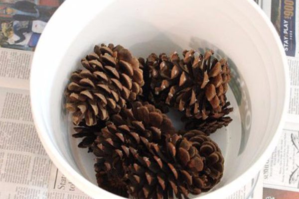 Мастерица со стажем отбеливает шишки, чтобы за гроши создать дома атмосферу праздника