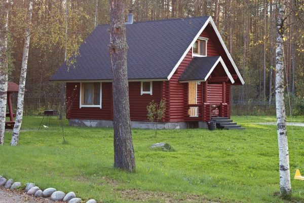 На даче красовались три березы на участке, пока их не вырубили, ничего не росло вокруг