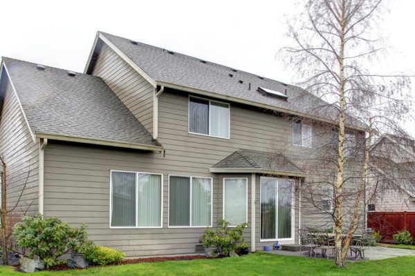 Почему нельзя сажать березу рядом с домом