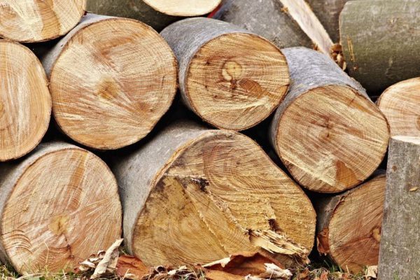 Муж сидел в отпуске две недели, превратил все брёвна на участке в потрясающие поделки