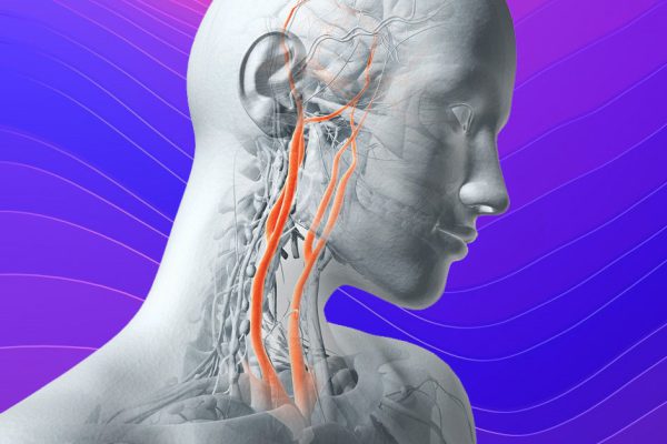 Какие пищевые добавки полезны для здоровья