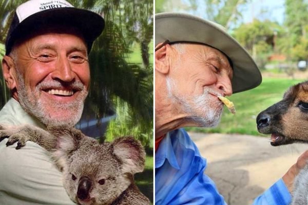 Что сейчас делает Николай Дроздов и как ему удалось привить любовь к природе и окружающему миру целому поколению