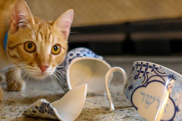 Вещи-вампиры, которые срочно нужно выбросить, чтобы почувствовать прилив сил