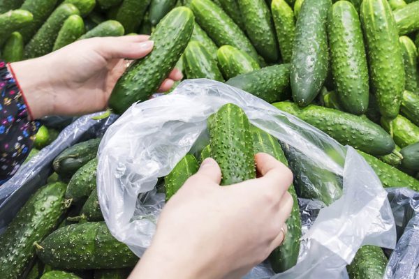 Нашло какое-то затмение, купила в магазине огурцы, теперь всё думаю, куда бы их пристроить, чтобы не пропали попусту