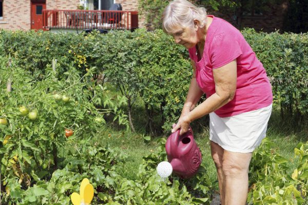 Сын маминой подруги привез на дачу бочковой насос, родственники носят его на руках