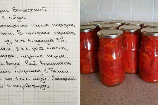 Заготовка болгарского перца с мёдом, которая не залежится в подвале