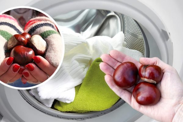 Осенью кладу каштаны в стирку, лишь избранные знают этот ценный трюк