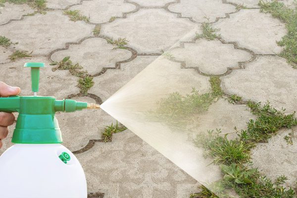 Вездесущие сорняки покинут дачу за двадцать четыре часа