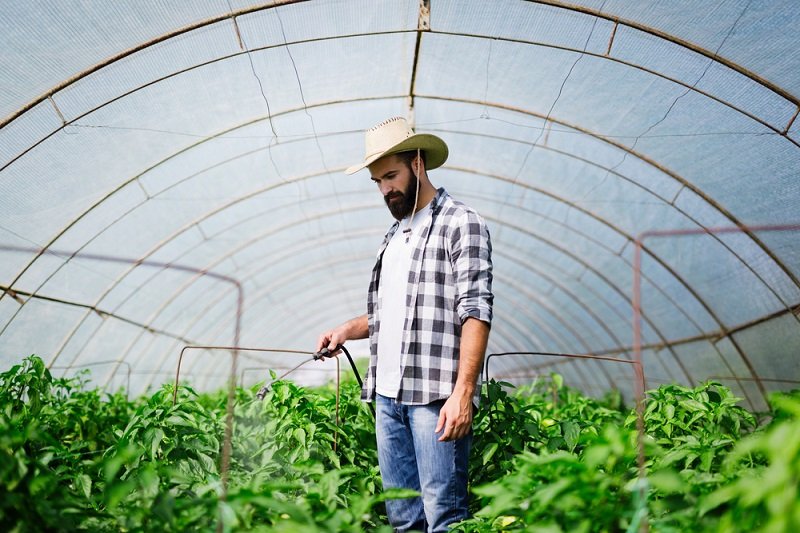 борьба с вредителями растений