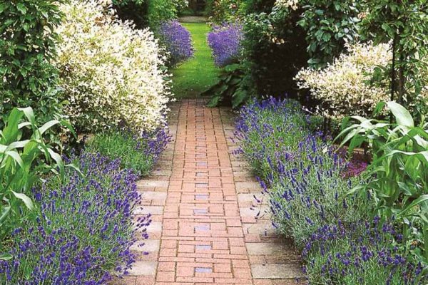 Что я узнала о бордюрах из трав, месяц наблюдая за соседом по даче