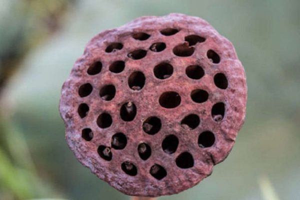 Вызывает ли у тебя этот снимок странное беспокойство? Ученые объяснили причину.