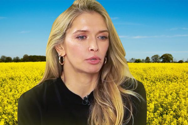 Ходят слухи, что семья Веры Брежневой переживает не лучшие времена