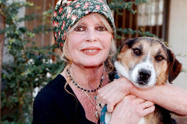 Почему сын Брижит Бардо не позвал ее на свою свадьбу