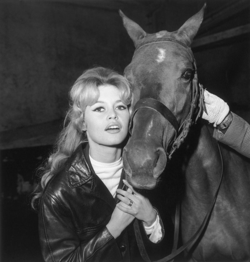 брижит бардо стиль