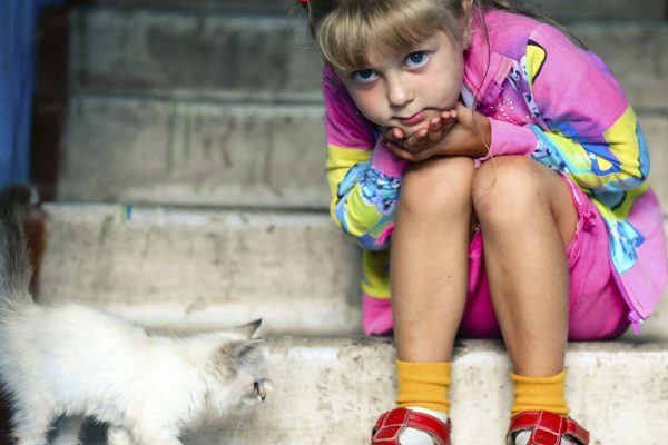 Почему нельзя запрещать ребенку приносить домой бездомных котят