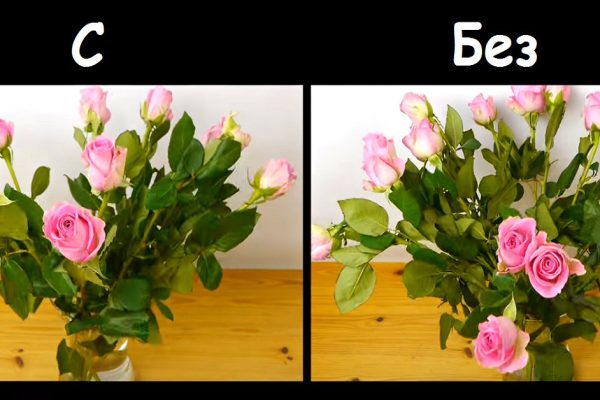 Он заклеил горлышко вазы скотчем… Увидев для чего, впредь ты будешь поступать так же!