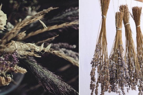 Как сделать букет из сухоцветов