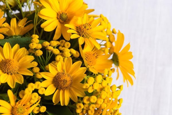 Никогда не дари любимым желтые цветы, на то есть веская причина